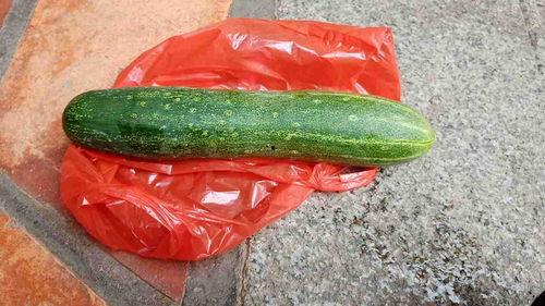 吃生的瓜视频,尽享生食之美——揭秘吃生瓜视频的魅力