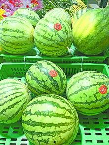 武汉吃瓜4人,武汉“吃瓜”四人生动演绎都市生活百态