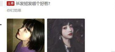 斗鱼吃瓜的视频,一场视觉盛宴的直播奇观