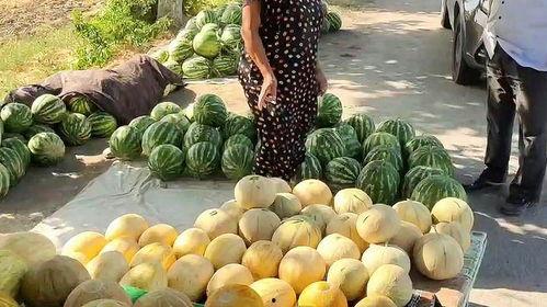 热门吃瓜图片,最新吃瓜图鉴,明星幕后故事大曝光!