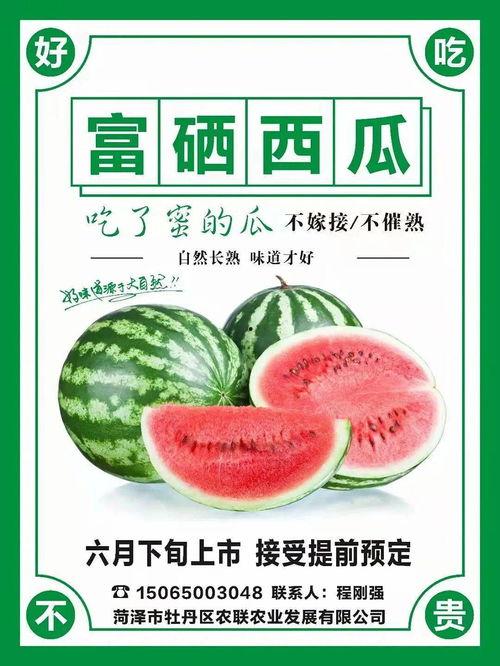 kajima吃瓜,一场娱乐圈的狂欢盛宴