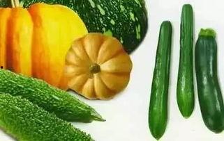 吃瓜斜阳,揭秘娱乐圈背后的故事