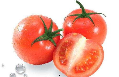 西红柿ovo吃瓜,揭秘网络热词背后的趣味与内涵