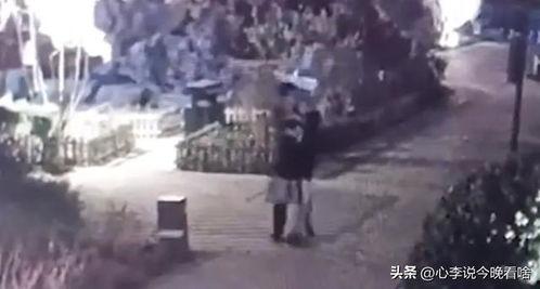 甘肃吃瓜原视频,一场视觉盛宴的乡村生活掠影