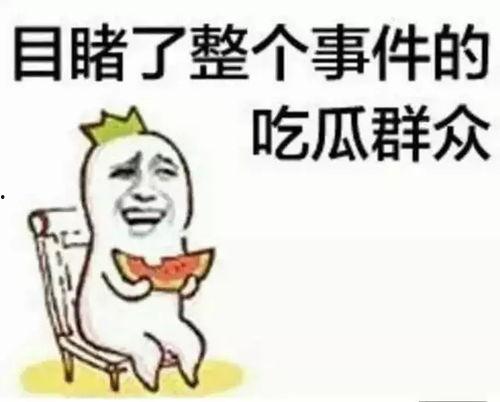 带你吃瓜奇葩拼图,趣味与创意的完美融合