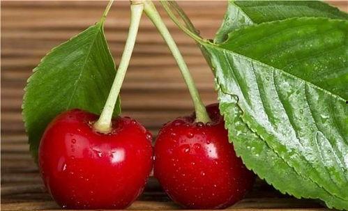 樱桃吃瓜照片,一场视觉盛宴的碰撞