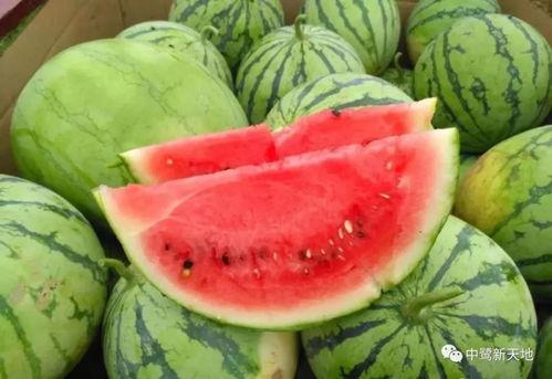 71热门今日吃瓜,揭秘娱乐圈最新热点事件