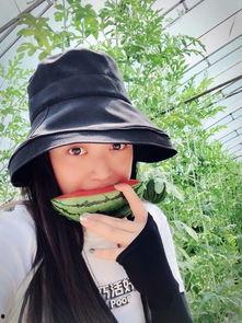 慕容吃大瓜,揭秘娱乐圈幕后风云