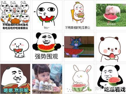 明白真相的吃瓜,吃瓜群众的智慧之旅