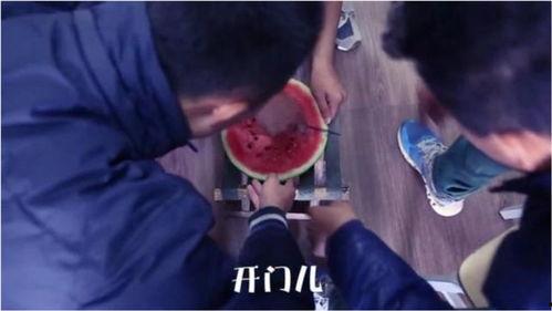 爆笑吃瓜视频全集,全集笑料盘点,笑出腹肌的欢乐盛宴